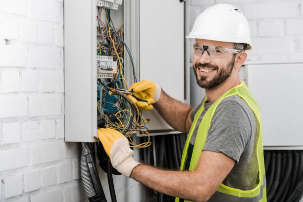Best Ceiling Fan Installation Electrician  in Alamo, TX