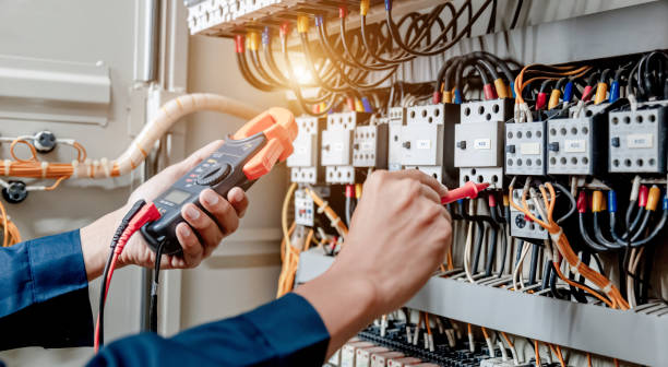 Best Ceiling Fan Installation Electrician  in Alamo, TX