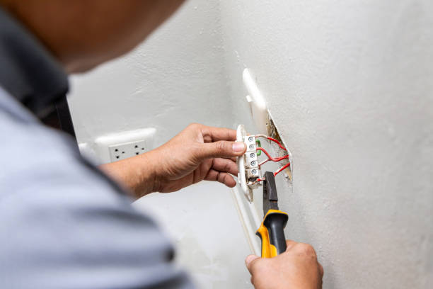 Best Circuit Breaker Repair  in Alamo, TX