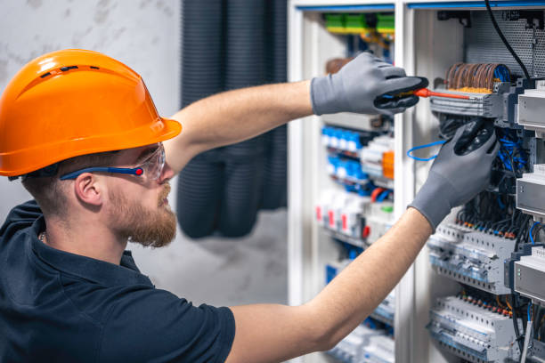 Best Residential Electrician Services  in Alamo, TX